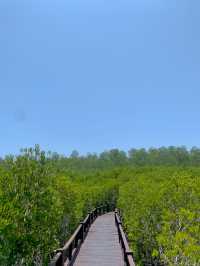วนอุทยานปรานบุรีมีหาดซ่อนอยู่!?