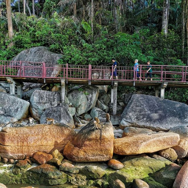 A laid-back nature getaway! 🍃