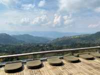 YAYO FARM Doichang