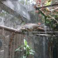 Wildlife of Saigon Zoo and Botanical Garden