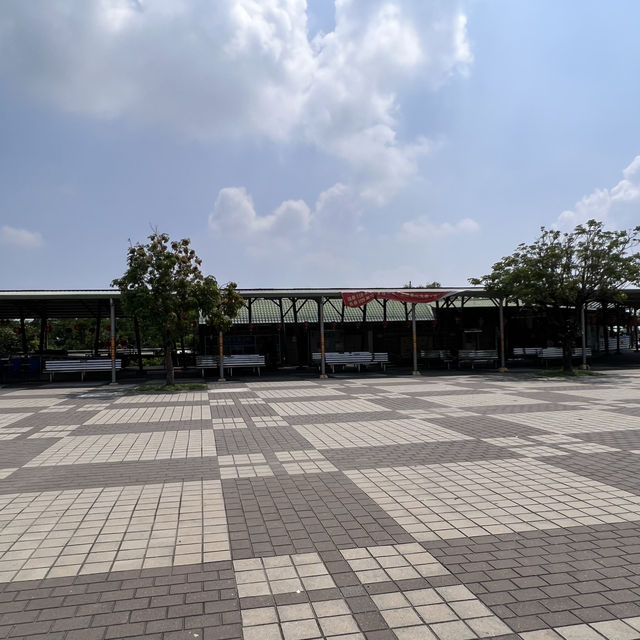 台南四草綠隧道