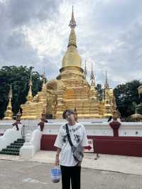 ปล่อยปลาวัดชัยมงคล เชียงใหม่
