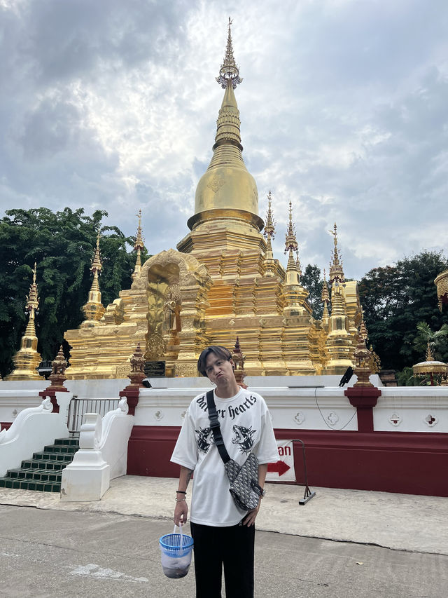 ปล่อยปลาวัดชัยมงคล เชียงใหม่