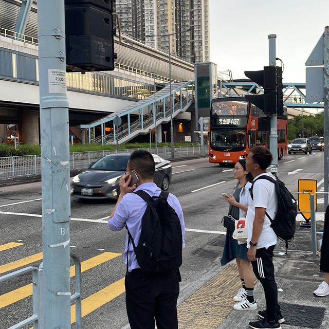 Roam if You Want To: Adventure across Hong Kong (S.A.R) and Shenzhen, China Roam if You Want To: Adventure across Hong Kong (S.A.R) and Shenzhen, China