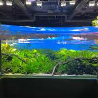 デジタル技術を駆使した独自の展示【カワスイ】