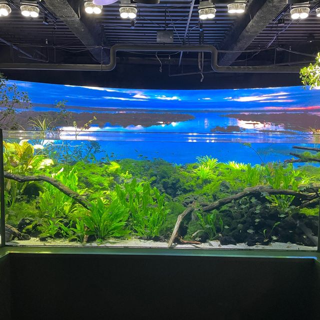 デジタル技術を駆使した独自の展示【カワスイ】