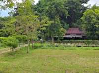 Ryokan Cafe คาเฟ่ที่มีน้องโตโตโร่ จ.เชียงราย