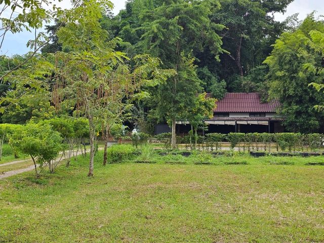 Ryokan Cafe คาเฟ่ที่มีน้องโตโตโร่ จ.เชียงราย