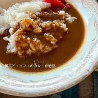 【愛知・岡崎】朝カレーが絶品！岡崎城が見えるホテル