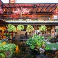 Rain Forest Cafe Pattaya 