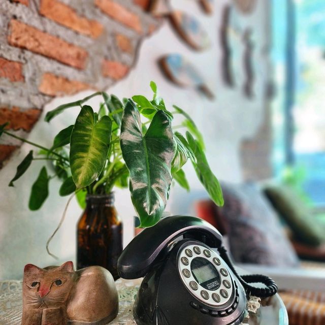 _Treeluxx Cafe' _