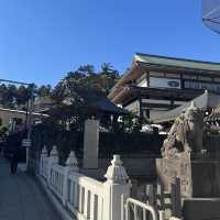 일본전통스타일을 느낄수 있는 현지인 관광지!🍵나리타 신쇼지 🇯🇵