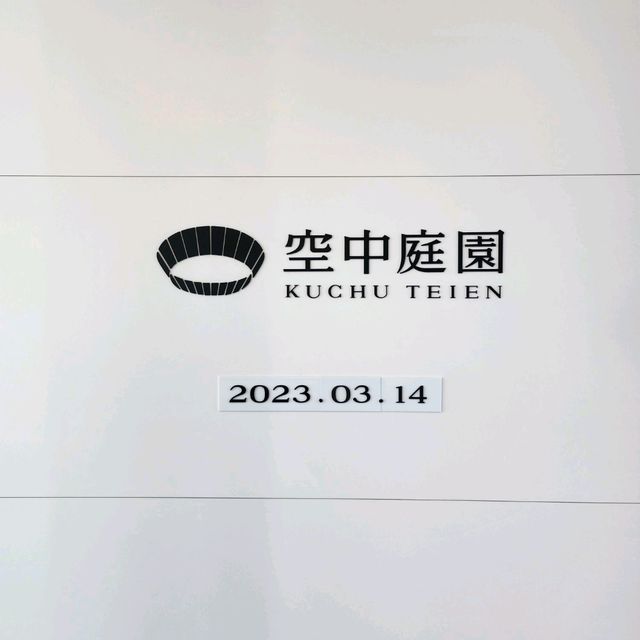 梅田藍天大廈看大阪市景色