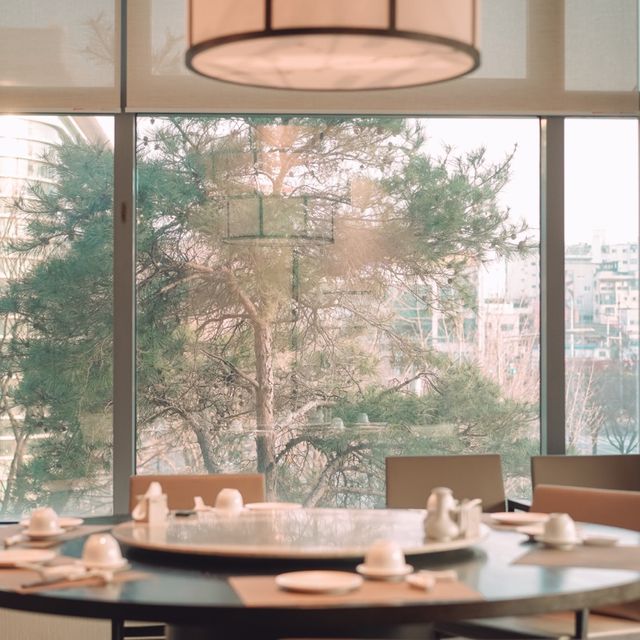 인터불고 엑스코 중식당 동보성