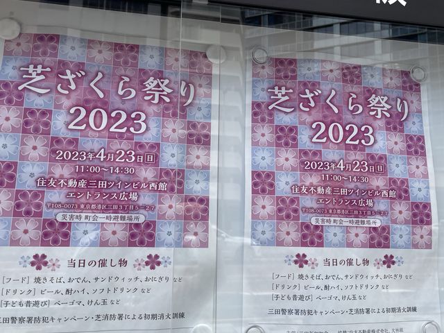 東京まだまだ桜満喫できるシバザクラ
