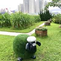 FARM TOGETHER-SKY FARM
