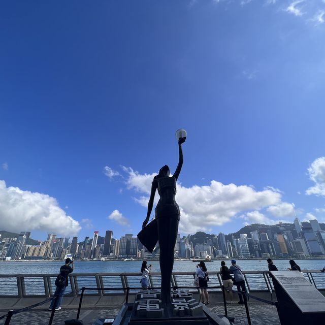 星光大道歲隨處影