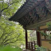 경주 유네스코세계문화유산 불국사의 위엄 