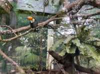 體力挑戰遊台北動物園