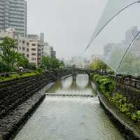 สะพานแว่นตา นางาซากิ 