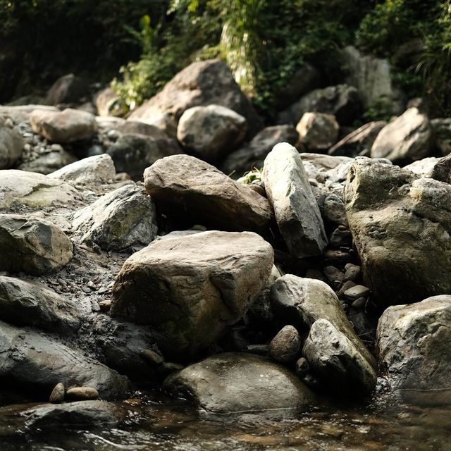 MoJen’s Retreat- Nơi chữa lành tâm hồn