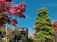 วัดคิโยะมิซุ 清水寺 หรือวัดน้ำใส 🍁⛩️