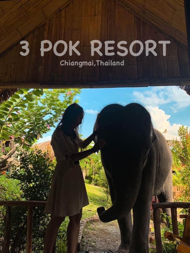 ย้อนเวลาไปเชียงใหม่ ณ 3ป๊อกรีสอร์ท🐘