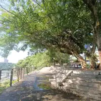 大溪中正公園