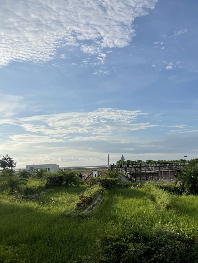 【台灣台中】高美濕地🌄台中觀賞日落最佳景點