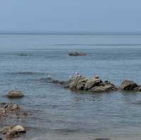 🌊 서울과 가까운 인천바다의 아름다움, 선녀바위