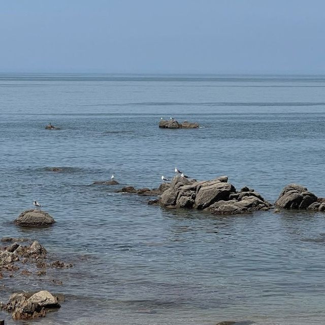 🌊 서울과 가까운 인천바다의 아름다움, 선녀바위