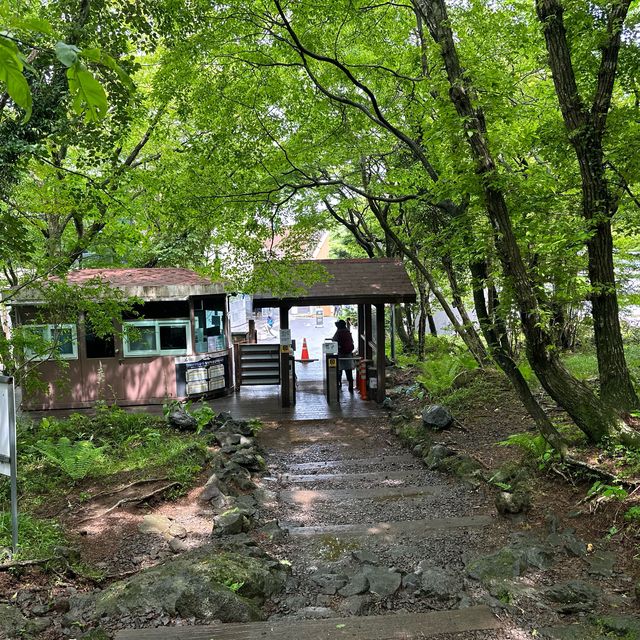 다양한 식생식물과 동물을 만날 수 있는 ⛰️ 한라산 성판악 코스