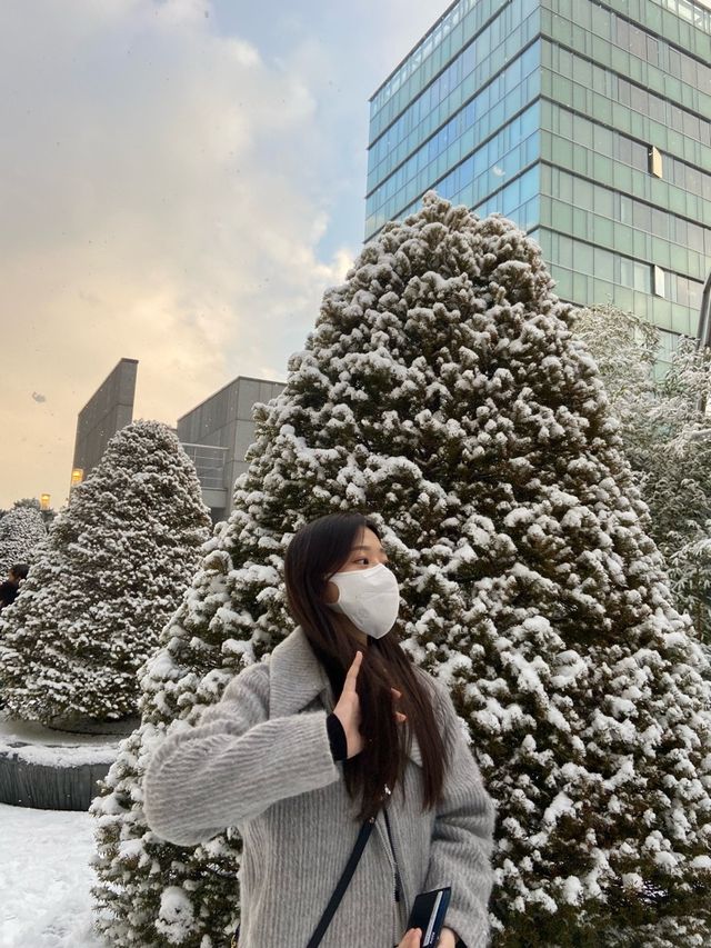 크리스마스 트리 명소! 타임스퀘어🎄🎅🏻🎁