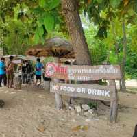 Out Island Day Tour from Ko Samat