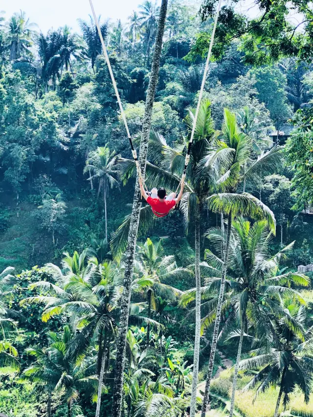 Let’s swing at paddy 🌾 fields in Bali 🇮🇩