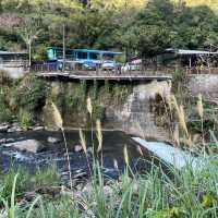五重溪瀑布到福山部落 烏來走春