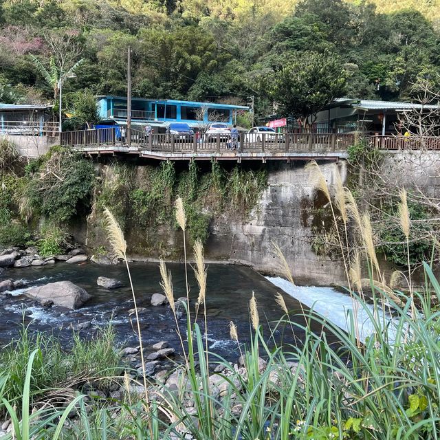 五重溪瀑布到福山部落 烏來走春