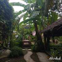 คาเฟ่บรรยากาศสวนมะพร้าว