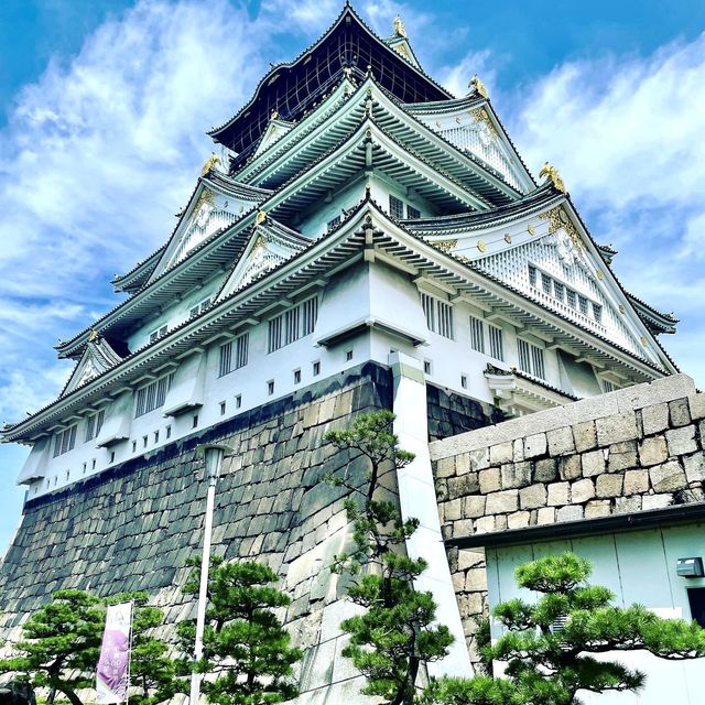 The Magnificent Osaka Castle 