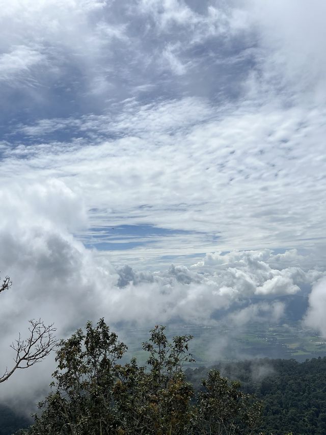 เหยียบเมฆ เดินทะลุหมอก ที่เขาหลวงสุโขทัย