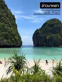 อ่าวมาหยา เปิดแล้ว! Beach Destination สักครั้งต้อง