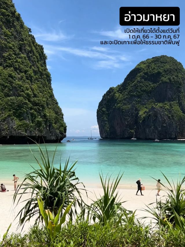 อ่าวมาหยา เปิดแล้ว! Beach Destination สักครั้งต้อง