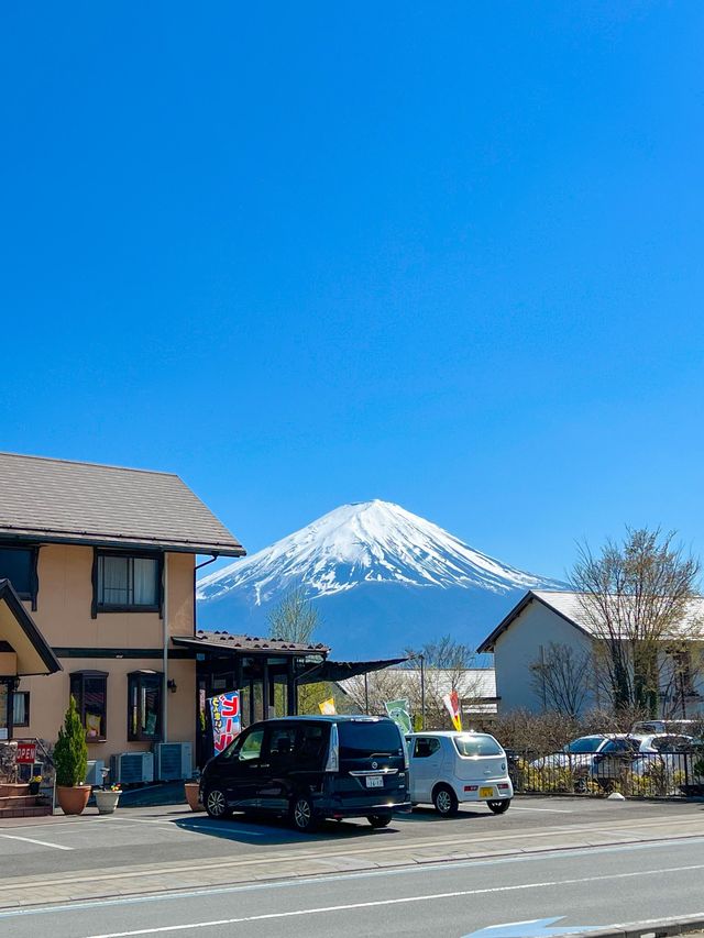 후지산을 한눈에 볼수 있는 일본 여행🏔️