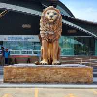 Sriayuthaya Lion Park - ศรีอยุธยา ไลอ้อน ปาร์ค 