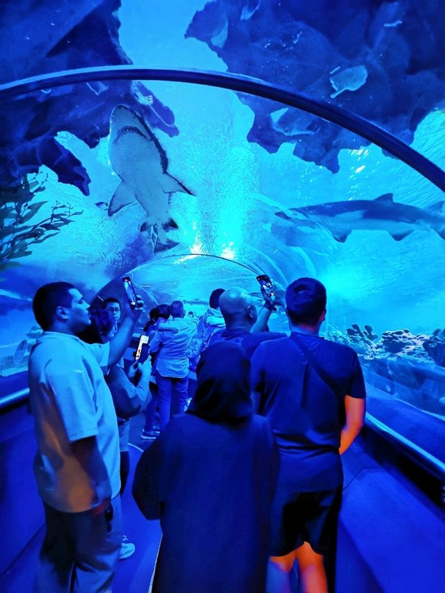 An amazing Aquaria KLCC exploration! 🐡🐟🐠🦈