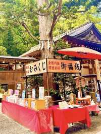 【長瀞】ミシュランガイドで一つ星を獲得した宝登山神社