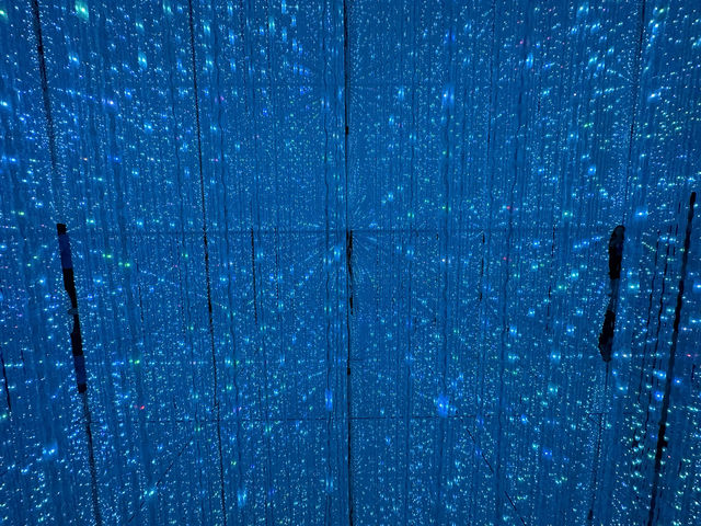 東京｜沉浸式體驗展覽