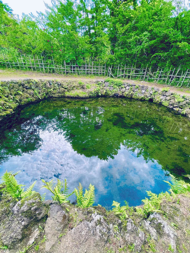 【絶景】神秘的なパワースポット！世界遺産の忍野八海🗻