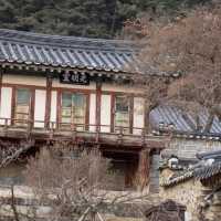 Trip to Dosan Seowon in Winter Season 