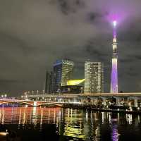The beautiful Tokyo Skytree Tower